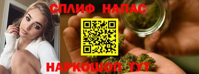 гашик Жуковский