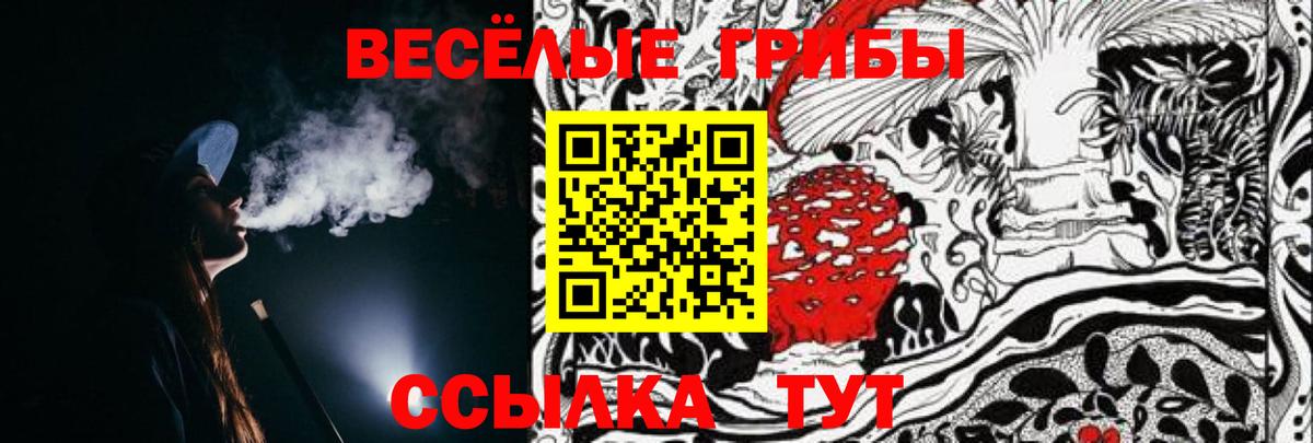 Галлюциногенные грибы Cubensis Минеральные Воды